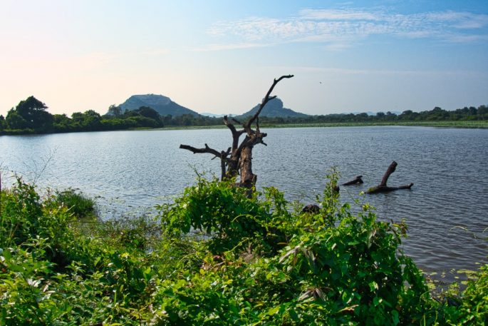 Sigiriya Lake view