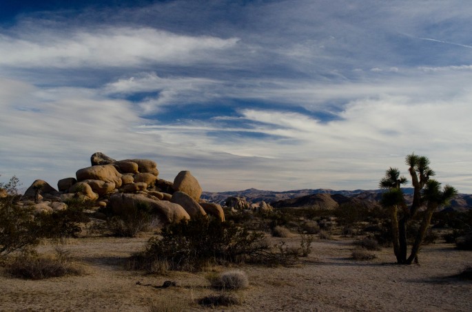 Joshua Tree National Park