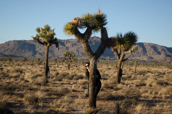 Joshua Tree National Park