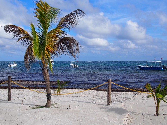 Mexican Resort