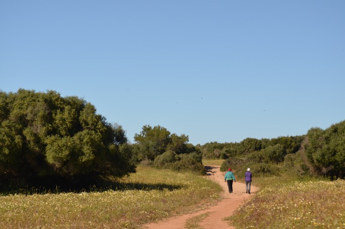 Things to do in Menorca: Walking