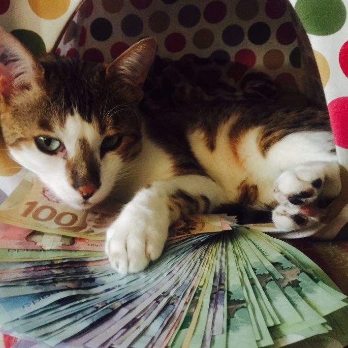 The cat - with all the money needed for his flight. I just wish Send My Bag would start sending cats.