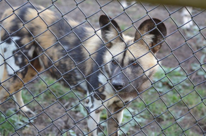 Port Lympne