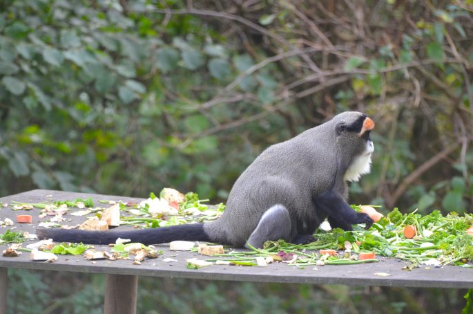 Port Lympne