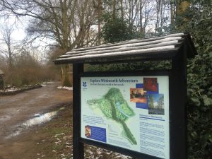 Days Out In Surrey: Winkworth Arboretum
