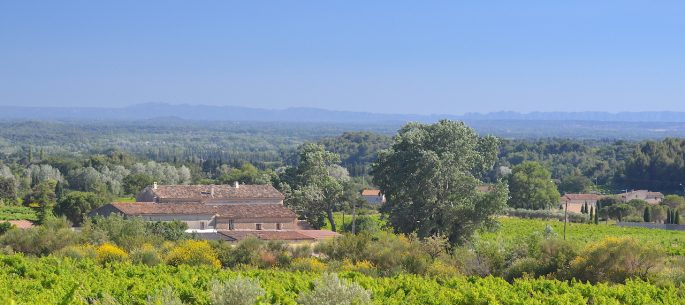 cycling in Provence