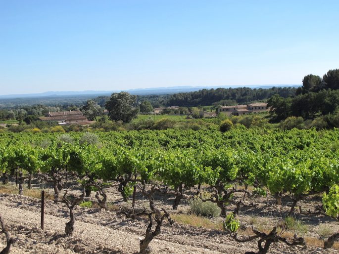 bicycle holiday in Provence