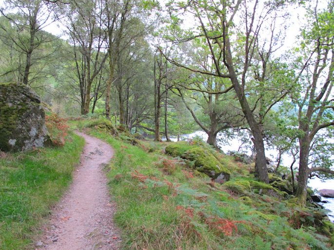 Munro Bagging Path