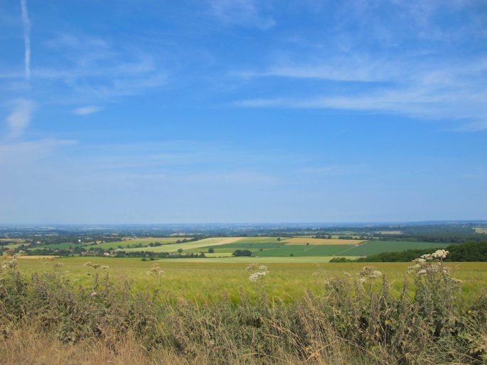 Salisbury Plain