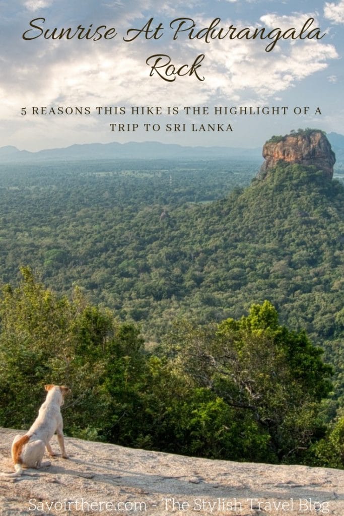 Pidurangala Rock Sri Lanka - varför det är bättre än Sigiriya 