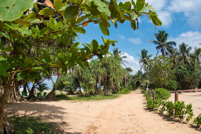 beach at Barberyn sands