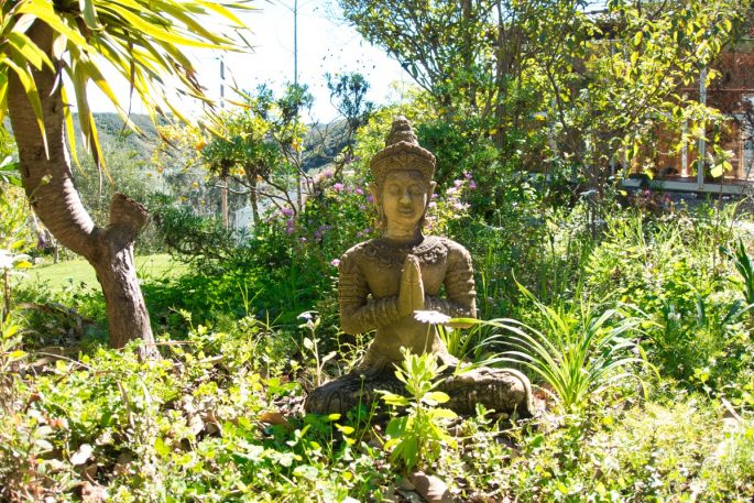 Moinhos Velhos juice retreat Buddha statue