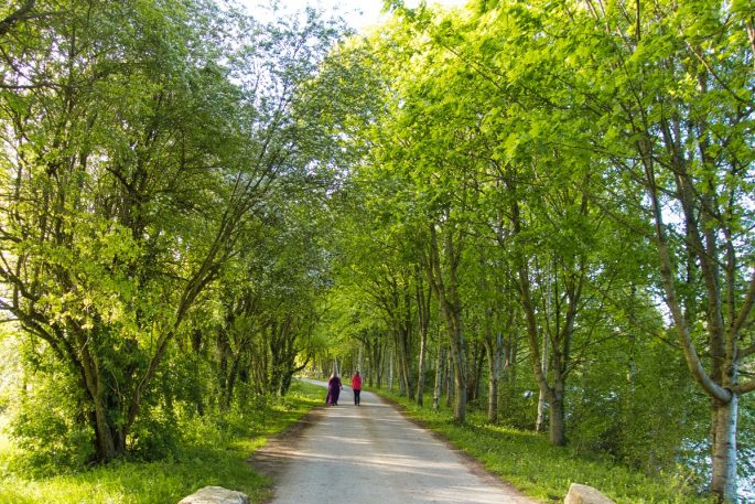 Walking at Log House Holidays