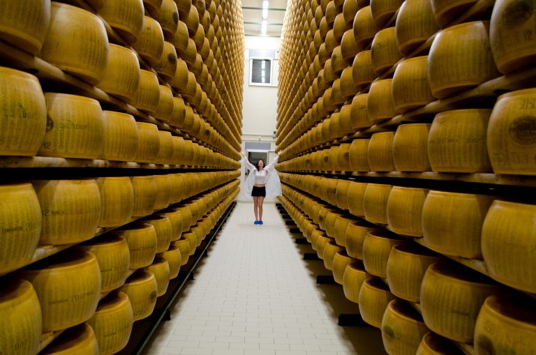 Behind the scenes at the parmesan factory