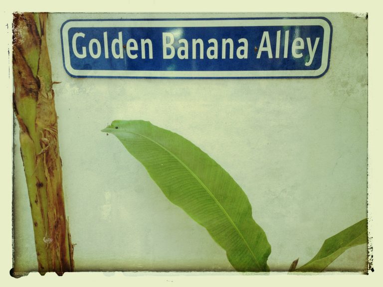 Golden Banana Alley