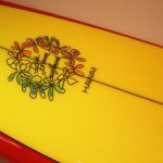 Hawaii surf board