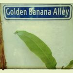 Golden Banana Alley