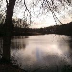 Days Out In Surrey: Winkworth Arboretum